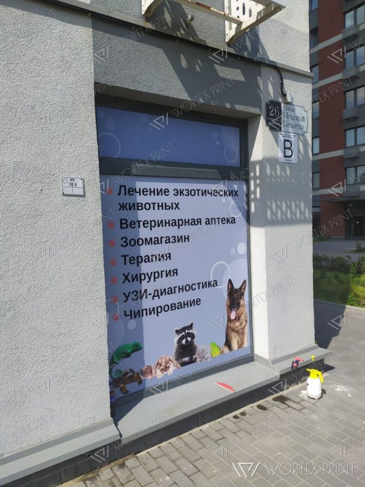 Оформление витрин ветеринарной клиники Друг